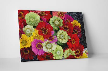Tablouri Canvas - Tablou canvas : Buchet de flori colorate