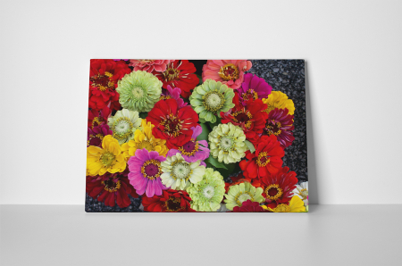Tablou canvas : Buchet de flori colorate [1]