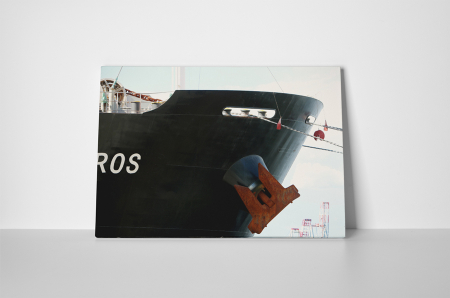 Tablou canvas : Vaporul urias [1]