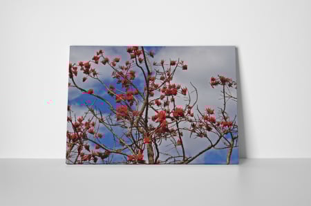 Tablou canvas : Copacul inflorit [1]