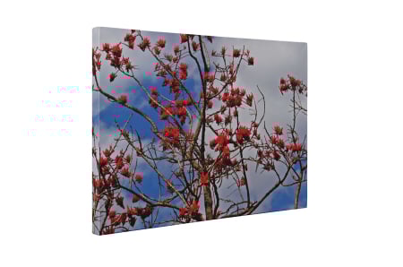 Tablou canvas : Copacul inflorit [4]