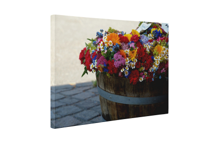 Tablou canvas : Flori colorate in butoi [4]