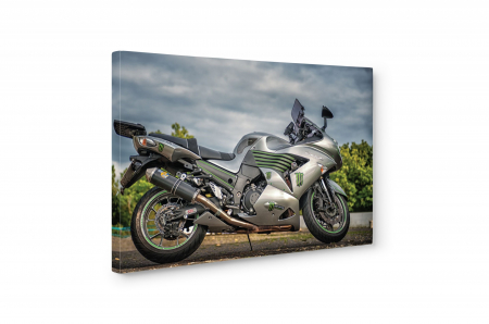 Tablou canvas : Kawasaki [4]