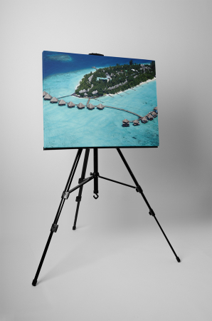 Tablou canvas : Excursie de vis [2]