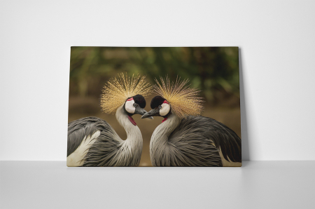 Tablou canvas : Cocorul incoronat [1]
