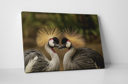 Animale - Tablou canvas : Cocorul incoronat