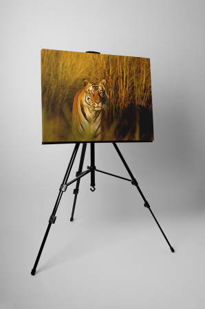 Tablou canvas : Tigrul periculos [2]