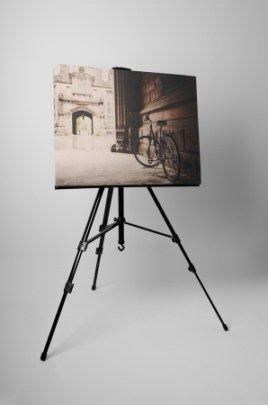 Tablou canvas : Bicicleta [2]