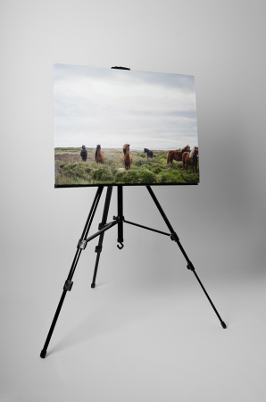 Tablou canvas : Armasari pe camp [2]