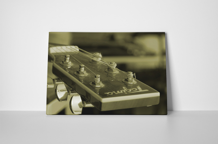 Tablou canvas : Corzi [1]