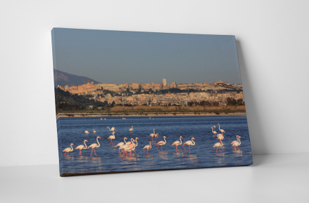 Peisaje - Tablou canvas : Familie de flamingo