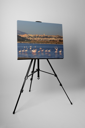 Tablou canvas : Familie de flamingo [2]