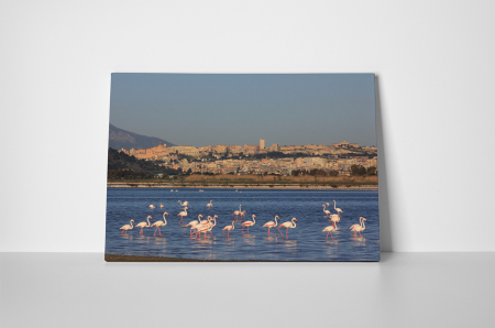Tablou canvas : Familie de flamingo [1]