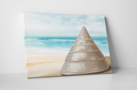 Tablouri Canvas - Tablou canvas : Melc special