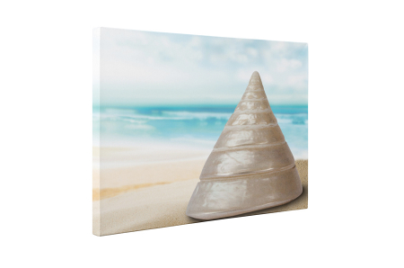 Tablou canvas : Melc special [4]
