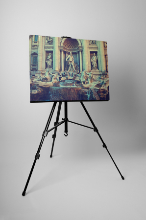 Tablou canvas : Fontana di Trevi [2]
