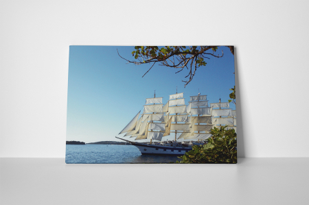 Tablou canvas : Fregata [1]