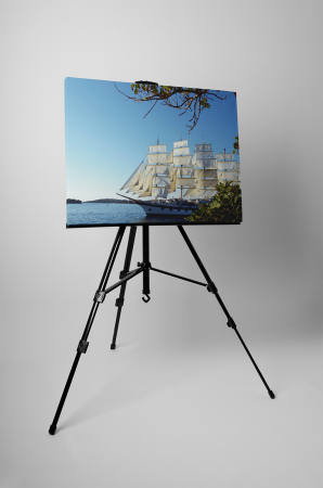 Tablou canvas : Fregata [2]