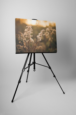 Tablou canvas : Apus de soare pe lunca [2]