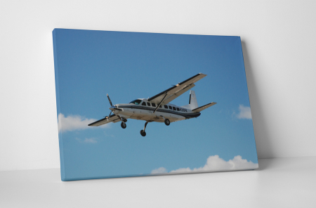 Vehicule - Tablou canvas : Avion Cessna