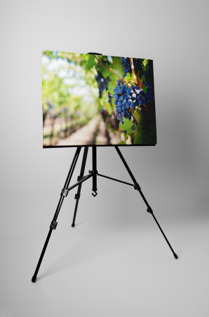 Tablou canvas : Struguri rosii [2]
