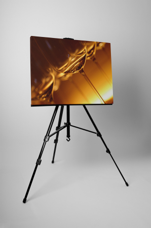 Tablou canvas : Pahare de vin [2]