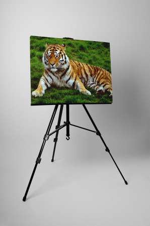 Tablou canvas : Tigrul obosit [2]