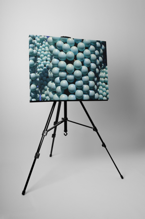 Tablou canvas : O multime de baloane [2]