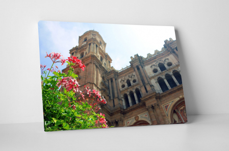 Tablouri Canvas - Tablou canvas : Catedral de la Encarnación de Málaga