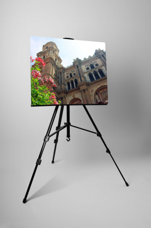 Tablou canvas : Catedral de la Encarnación de Málaga [2]