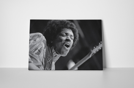 Tablou canvas : Jimi Hendrix [1]