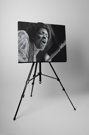 Tablou canvas : Jimi Hendrix [2]