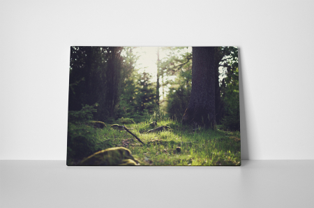 Tablou canvas : In iarba [1]