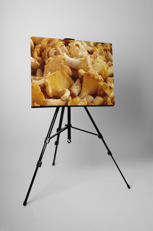 Tablou canvas : Ciuperci peste tot [2]