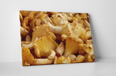 Gastronomie - Tablou canvas : Ciuperci peste tot
