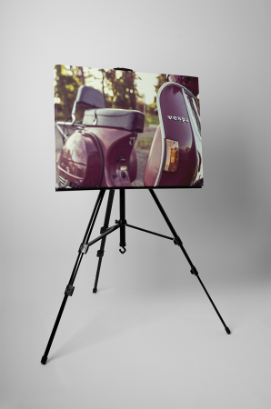 Tablou canvas : Scuter Vespa [2]