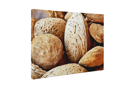 Tablou canvas : Migdale [4]