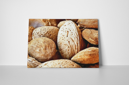 Tablou canvas : Migdale [1]