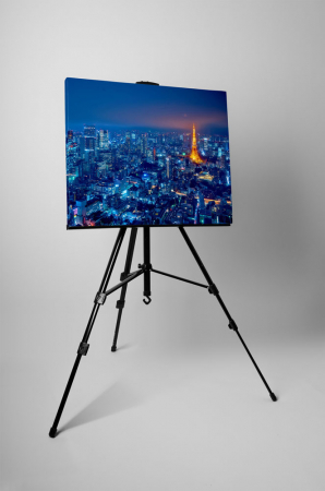 Tablou canvas : Tokyo City View And Sky Deck [2]