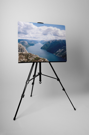 Tablou canvas : Natura puternica [2]