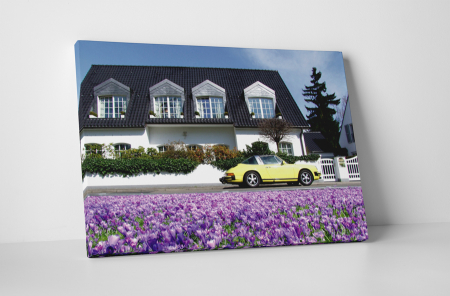 Tablouri Canvas - Tablou canvas : Viata frumoasa