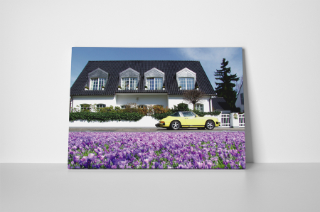 Tablou canvas : Viata frumoasa [1]