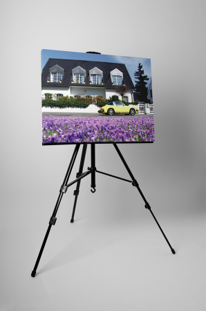 Tablou canvas : Viata frumoasa [2]