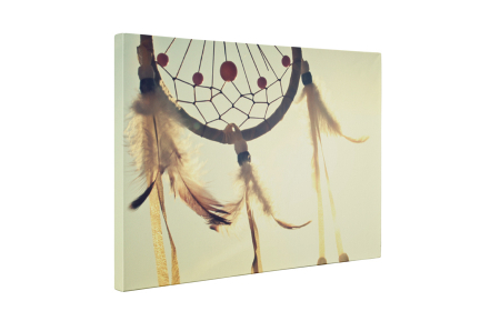 Tablou canvas : Dreamcatcher [4]