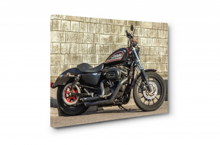 Tablou canvas : Harley [4]