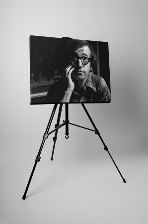 Tablou canvas : Woody Allen [2]