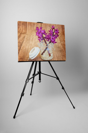 Tablou canvas : Zambila [2]