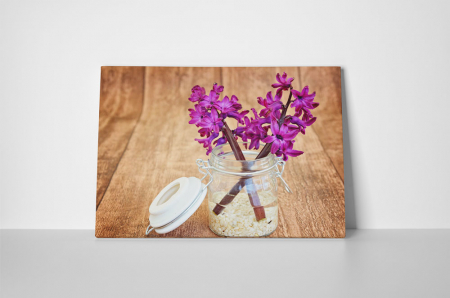Tablou canvas : Zambila [1]