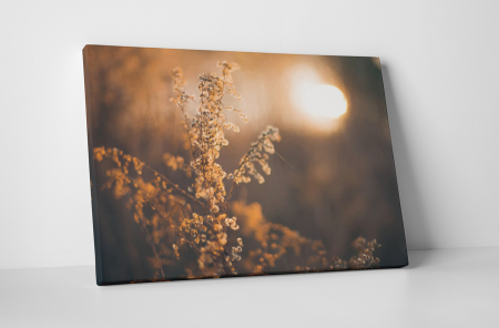 Tablouri Canvas - Tablou canvas : Asternut de toamna