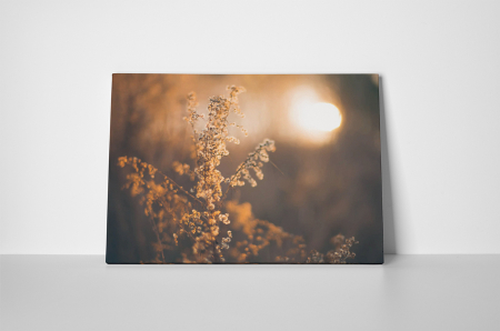 Tablou canvas : Asternut de toamna [1]